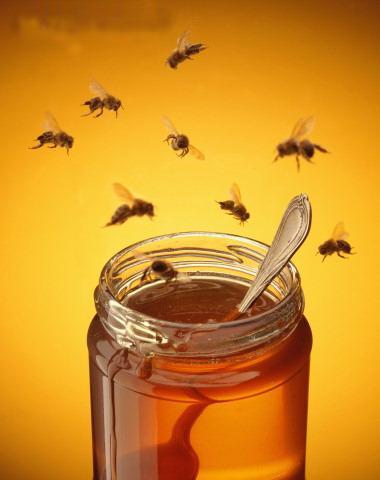 03/08/15 Les bienfaits du miel sur la peau